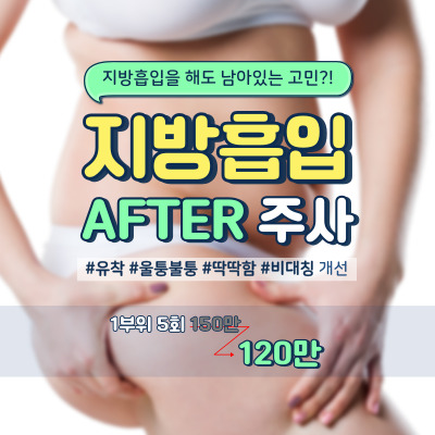 컨텐츠이미지